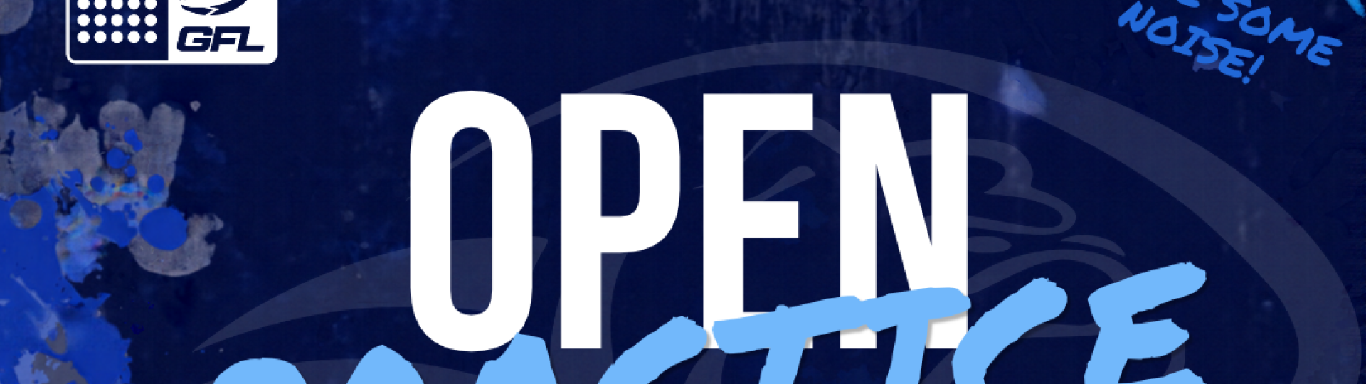 Open Practices
